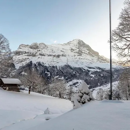 Apartment Schuerli - Aare Jungfrau Ag Grindelwald