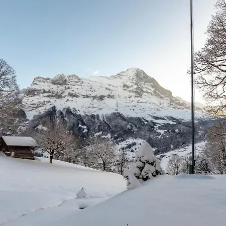 Apartamento Schuerli - Aare Jungfrau Ag *
