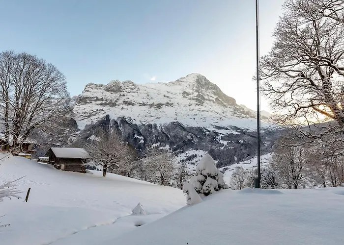 Lägenhet Schuerli - Aare Jungfrau Ag Grindelwald