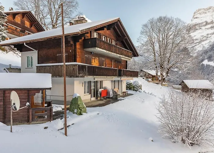 Schuerli - Aare Jungfrau Ag * Grindelwald