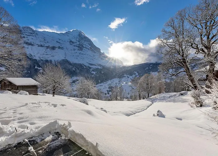 Schürli - Aare Jungfrau Ag Apartamento Grindelwald