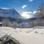 Schuerli - Aare Jungfrau Ag Appartement Grindelwald