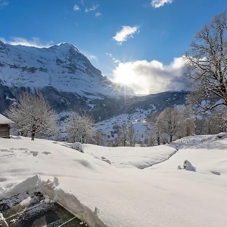 Schuerli - Aare Jungfrau Ag شقة جريندلوالد